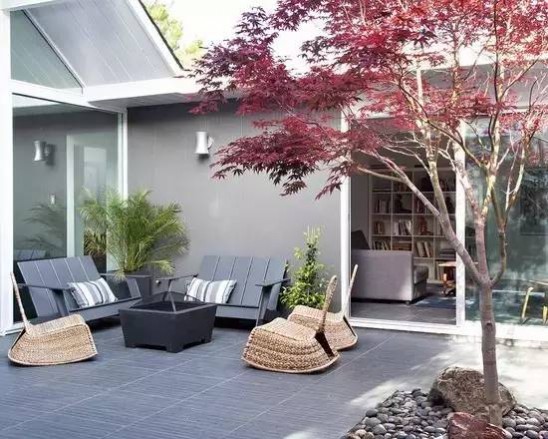 1677133690889649.jpg 1677133690889649.jpg