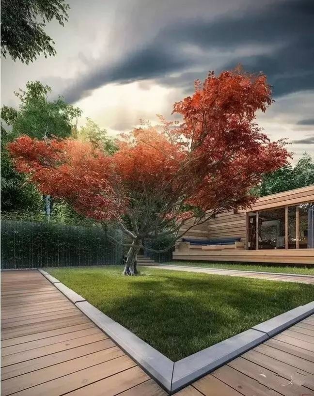 1677133717435522.jpg 1677133717435522.jpg