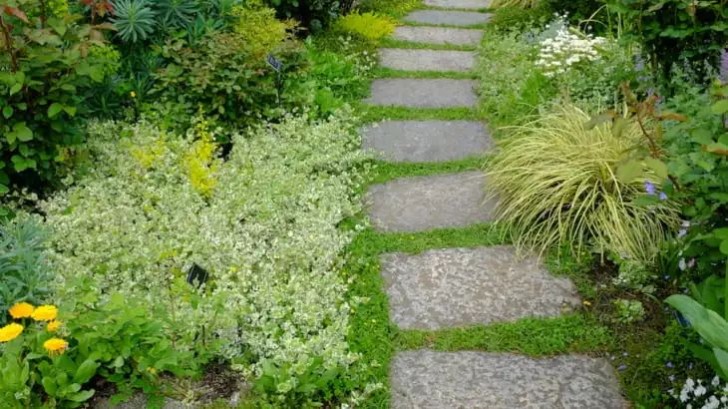 1681111863331650.jpg 1681111863331650.jpg