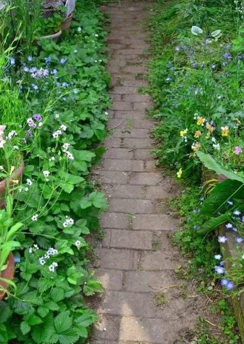 1681111908421983.jpg 1681111908421983.jpg