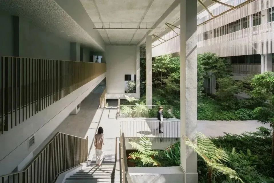 1688348679652155.jpg 1688348679652155.jpg