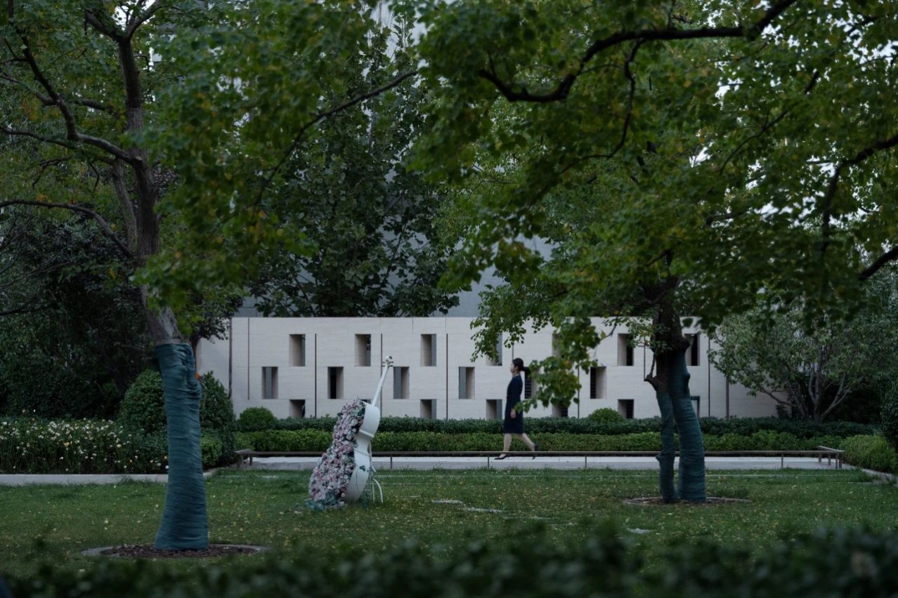 1702603704586439.jpg 1702603704586439.jpg